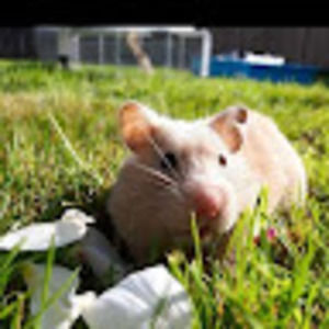 Meet your Posher, Louisa